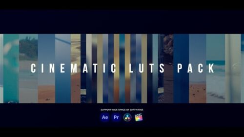 Cinematic LUTs for Premiere Pro