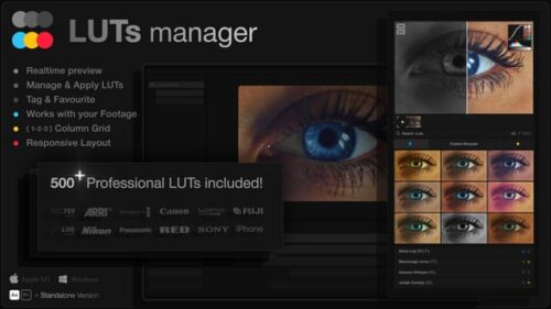 LUTs Manager Real Time Bulk Previews Tool and 500 LUTs for Effortless Professional Color Grading