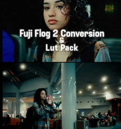 Fuji Film Flog 2 Conversion and LUTS Pack